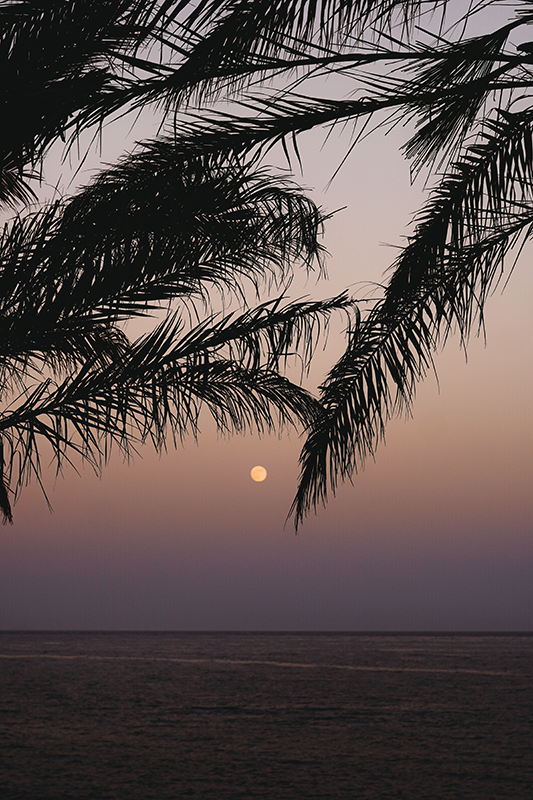 Photos by Adrianna Calvo