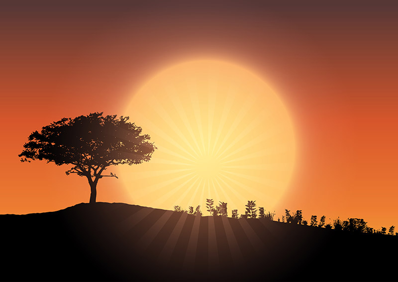 Nature vectors