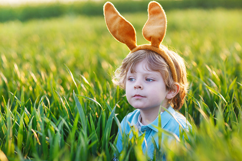 Easter Photo - Seasonal Stock Photo