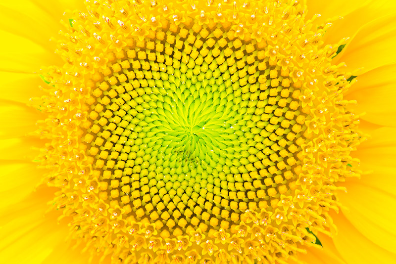 Texture