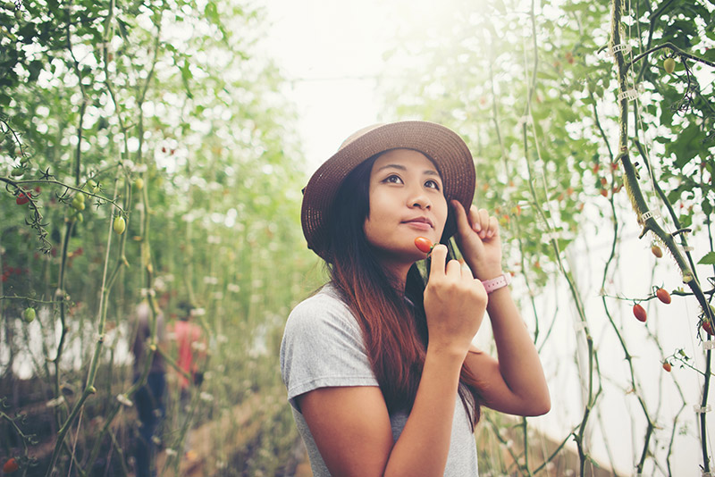 Lifestyle Photo in a Greenhouse