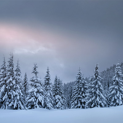 Winter Landscape