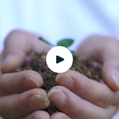 Sustainability Stock Video