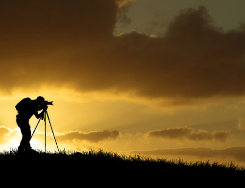 7 Best Free Stock Photo Websites (2025 Edition)