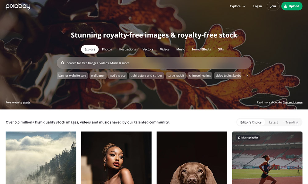 Pixabay website
